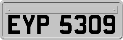 EYP5309
