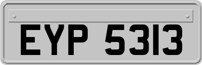 EYP5313