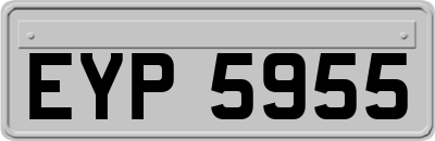 EYP5955