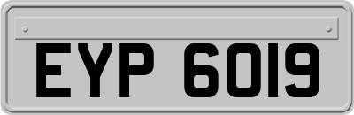 EYP6019