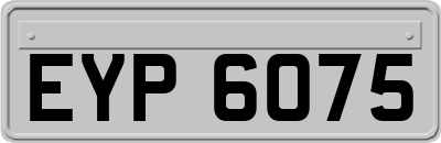EYP6075