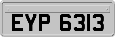 EYP6313