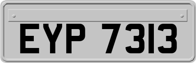 EYP7313
