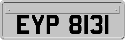 EYP8131