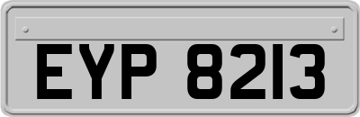EYP8213