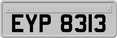 EYP8313