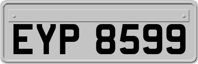 EYP8599