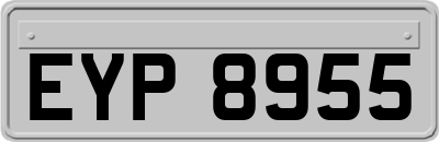 EYP8955