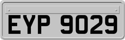 EYP9029