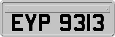 EYP9313