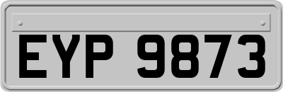 EYP9873
