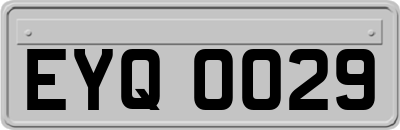 EYQ0029