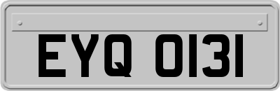 EYQ0131