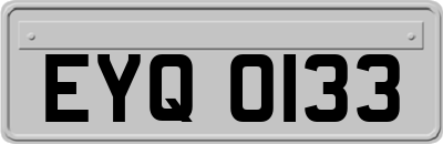 EYQ0133