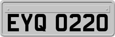 EYQ0220