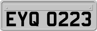 EYQ0223