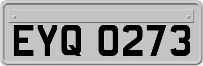 EYQ0273