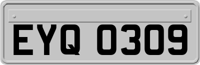 EYQ0309