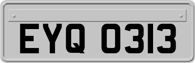 EYQ0313