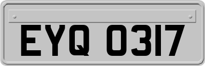 EYQ0317