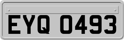 EYQ0493