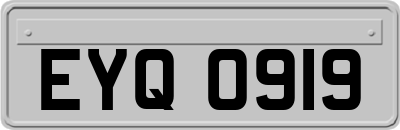 EYQ0919