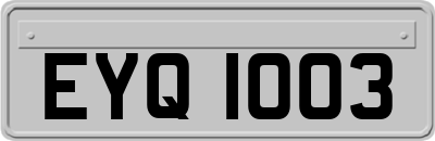 EYQ1003