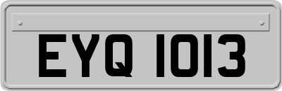 EYQ1013