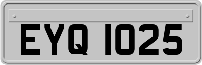 EYQ1025