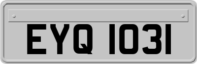 EYQ1031