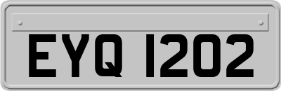 EYQ1202