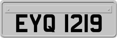 EYQ1219