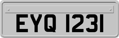 EYQ1231