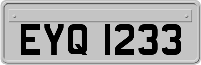 EYQ1233