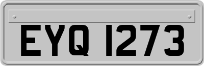 EYQ1273
