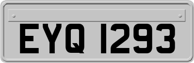 EYQ1293