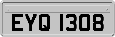 EYQ1308