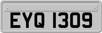 EYQ1309
