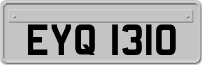 EYQ1310