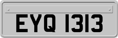 EYQ1313