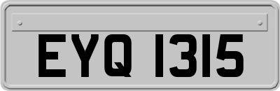 EYQ1315