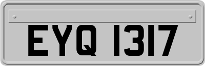 EYQ1317
