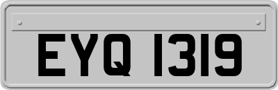 EYQ1319