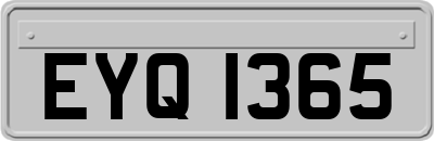 EYQ1365