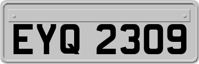 EYQ2309