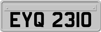 EYQ2310