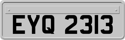 EYQ2313