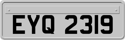 EYQ2319