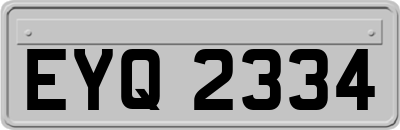 EYQ2334