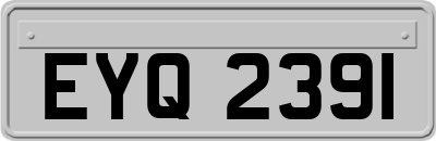 EYQ2391